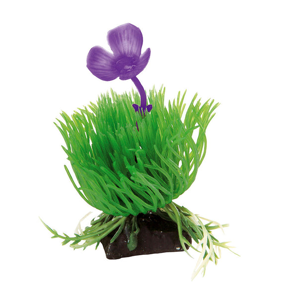 Aquarium and Fish Tank Accessories and Decorations Hydor | Scopri le nostre proposte Aquarium and Fish Tank Accessories and Decorations Hydor | Scopri le nostre proposte