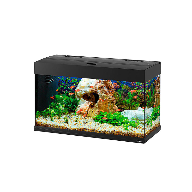 fish tank accessories dubai DUBAI 80 LED - 125 L