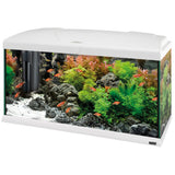CAPRI 80 LED PLUS - 100 L