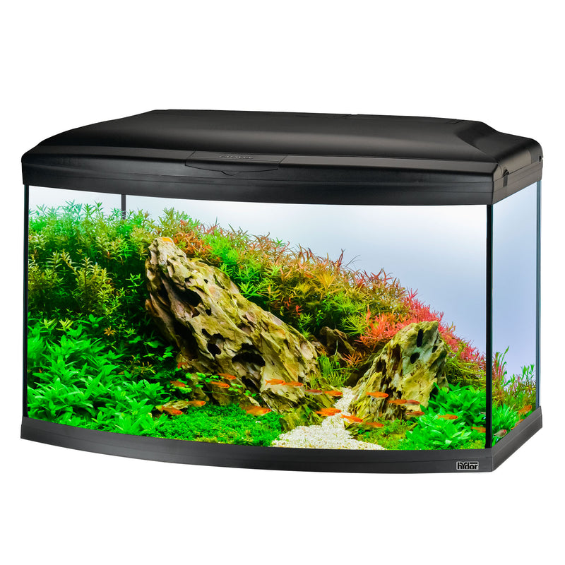 CAYMAN 80 SCENIC LED - 150 L