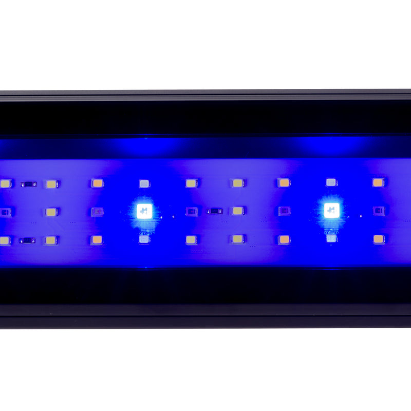 AQ-LUX REEF LED-Lampe