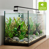 AQ-LUX FRESH Lamp