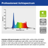 AQ-LUX FRESH LED-Lampe