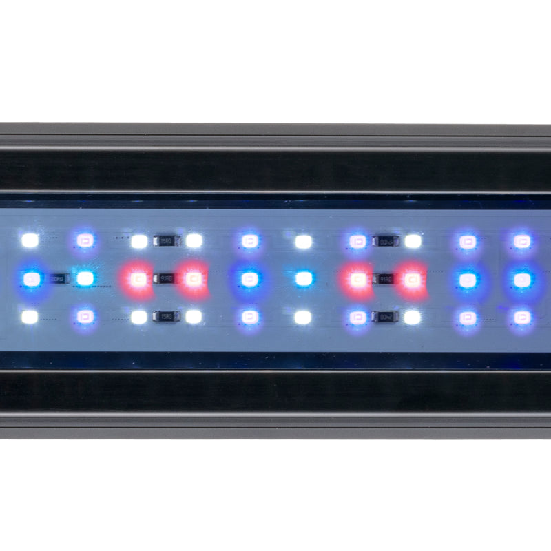 AQ-LUX REEF LED-Lampe